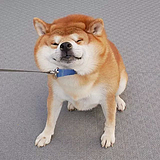 KTFaker的头像