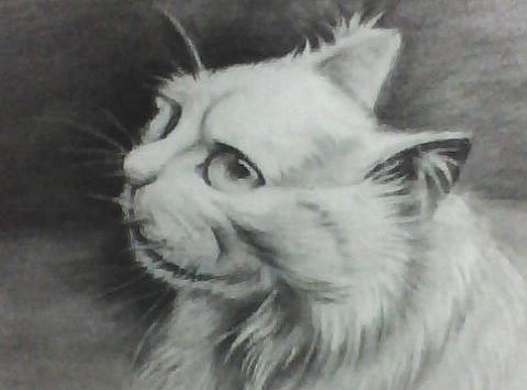 情（个人主页-ZMjI4Mzk0NDA=） - 其他 - 站酷设计师_tyr原创素材 - 站酷ZCOOL