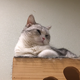 冬与日的头像