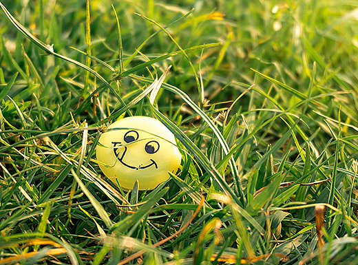 抬头看 别忘了笑（8P） 于海珠湖公园