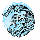 你是阿猫的头像