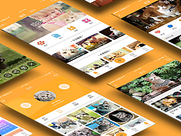 寵物社交APP設(shè)計