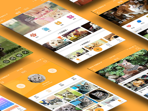 宠物社交APP设计