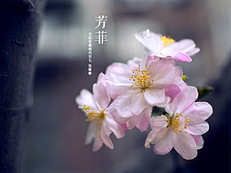 教程