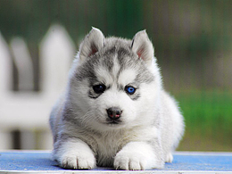 原创书籍效果图