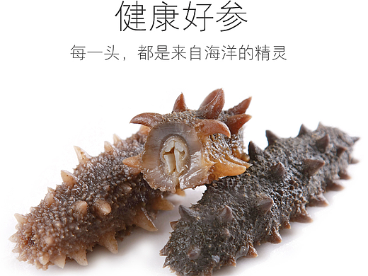 海参主图