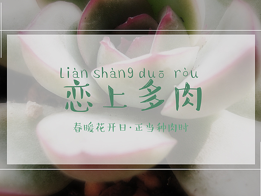 多肉专题网站