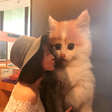 CoraSong的头像