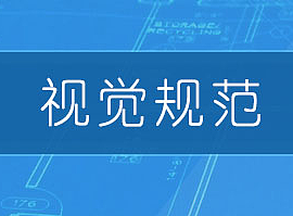 某项目设计规范