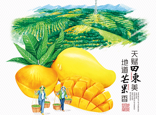 《天赋田东美 · 地道芒果香》百色芒果主题插画
