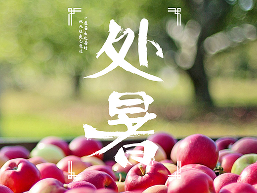 节气海报