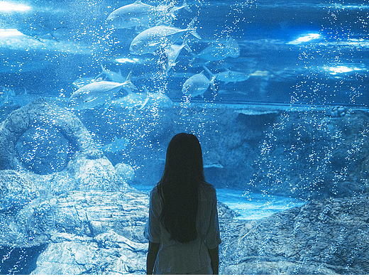 蓝色大海的传说