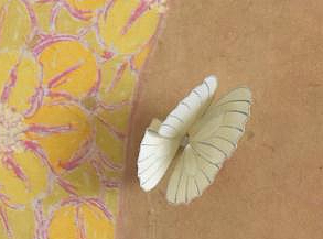 butterfly man