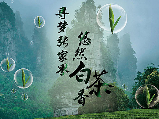 張家界白茶 | 一峰一故事，一茶一夢(mèng)境（個(gè)人主頁-ZMjI3NDMzMTI=） - 包裝 - 站酷設(shè)計(jì)師夢(mèng)工場(chǎng)品牌策劃原創(chuàng)素材 - 站酷ZCOOL
