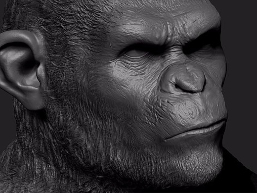 猿族崛起-凯撒模型雕刻