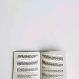 本馒的头像