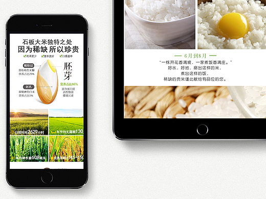 粮记——粒粒皆辛苦（大米，绿豆、红豆）