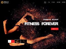 近期PC官网设计