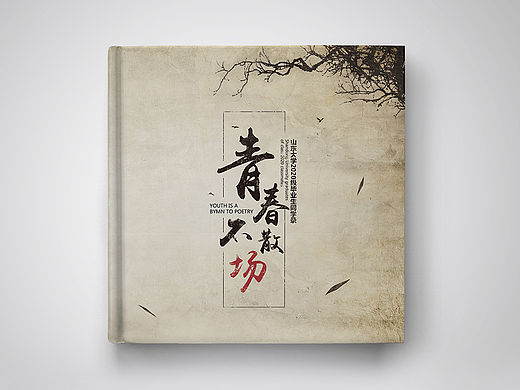 同学录青春校园毕业季画册设计