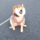 用戶頭像
