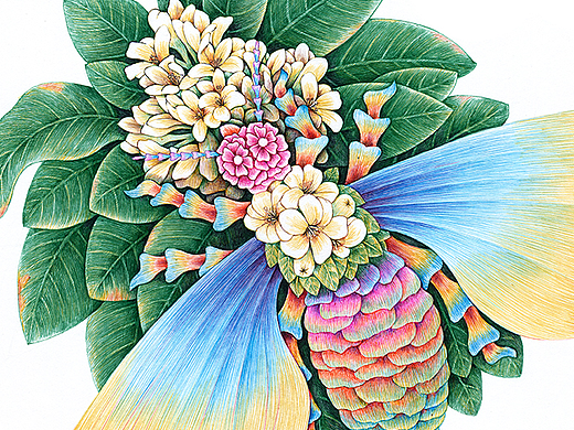 蜂蜜包装插画