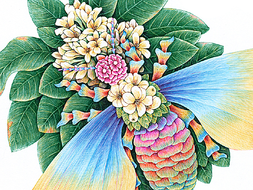 蜂蜜包装插画