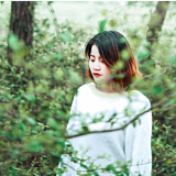 1178148768的头像