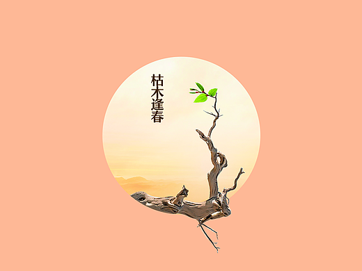 几张海报小品