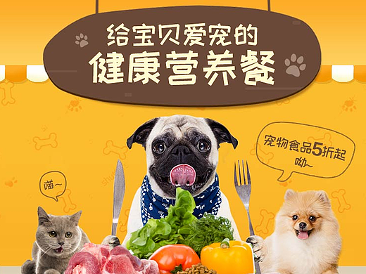 宠物食品