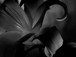 練習(xí)也要走心