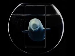 全面屏，大视界