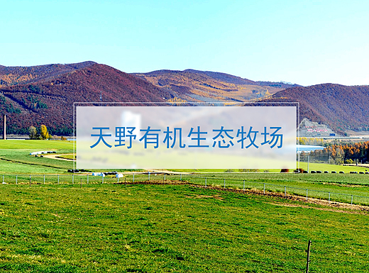 红星奶粉页面设计