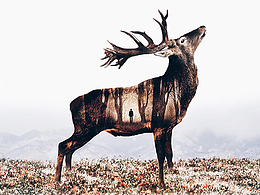 UI界面配圖練習(xí)