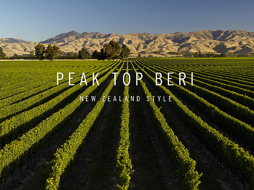 新西兰黑莓包装