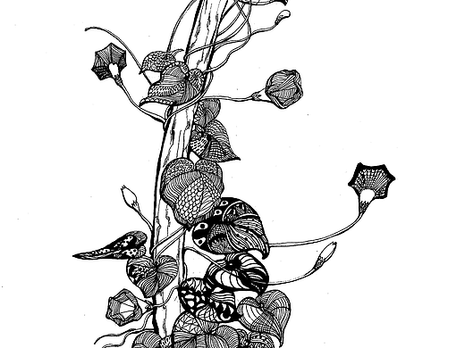 黑白装饰画