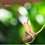 摄影师陈荣杰的头像