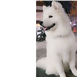 Lancer_EX的头像