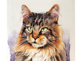 水彩之猫08