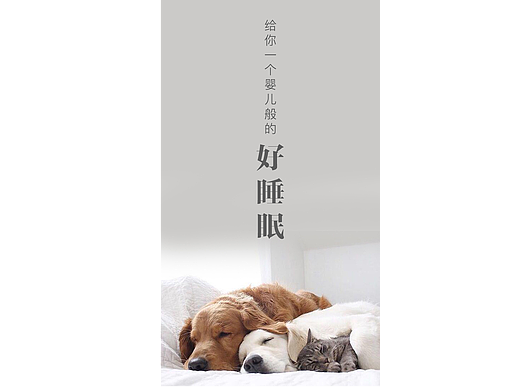 引导页