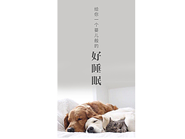 引导页