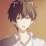 猫爷233的头像