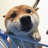 佛耶戈的头像