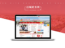 政府门户网站