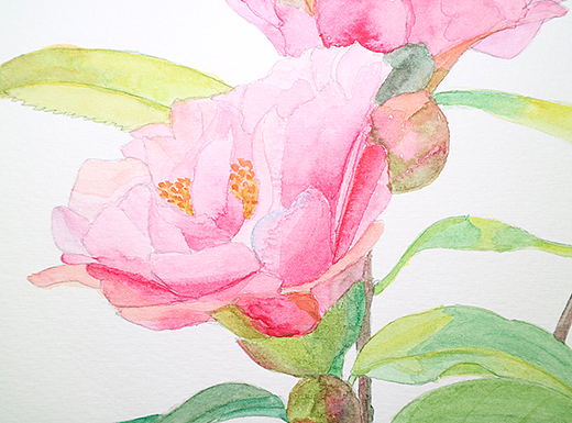 花的一些-水彩（个人主页-ZMjM0OTg3NzI=） - 创作习作 - 站酷设计师撒雪花的菇凉原创素材 - 站酷ZCOOL