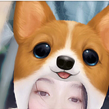 Midy苗二的头像