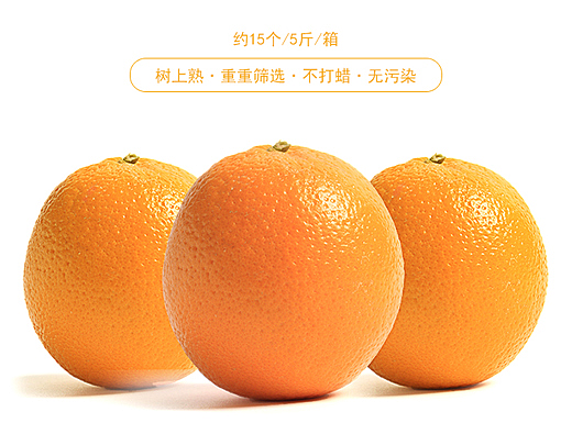 水果类橙子橘子柚子详情图