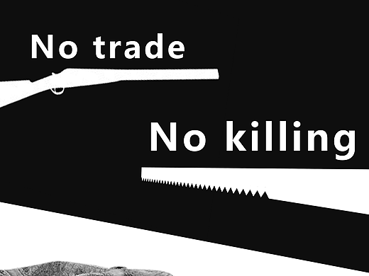 公益海报街边一览