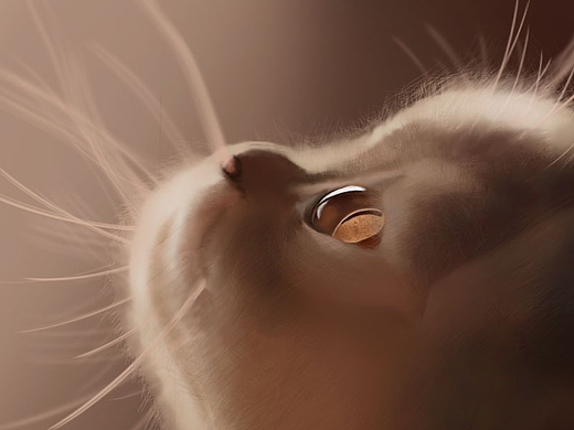 鼠绘小猫（个人主页-ZMjMxMDg2MDA=） - 其他 - 站酷设计师白攵原创素材 - 站酷ZCOOL