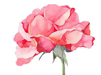 母親節(jié)（個(gè)人主頁(yè)-ZMjIxNzcyNjQ=） - 品牌 - 站酷設(shè)計(jì)師張大喵愛(ài)畫(huà)畫(huà)原創(chuàng)素材 - 站酷ZCOOL