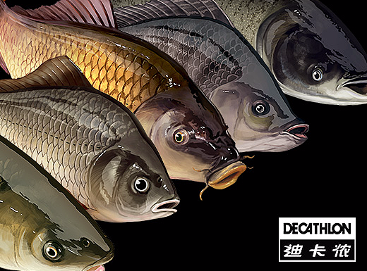插画 【迪卡侬CAPERLAN鱼饵产品包装插图】
